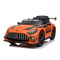 Mercedes GT3 AMG 12V